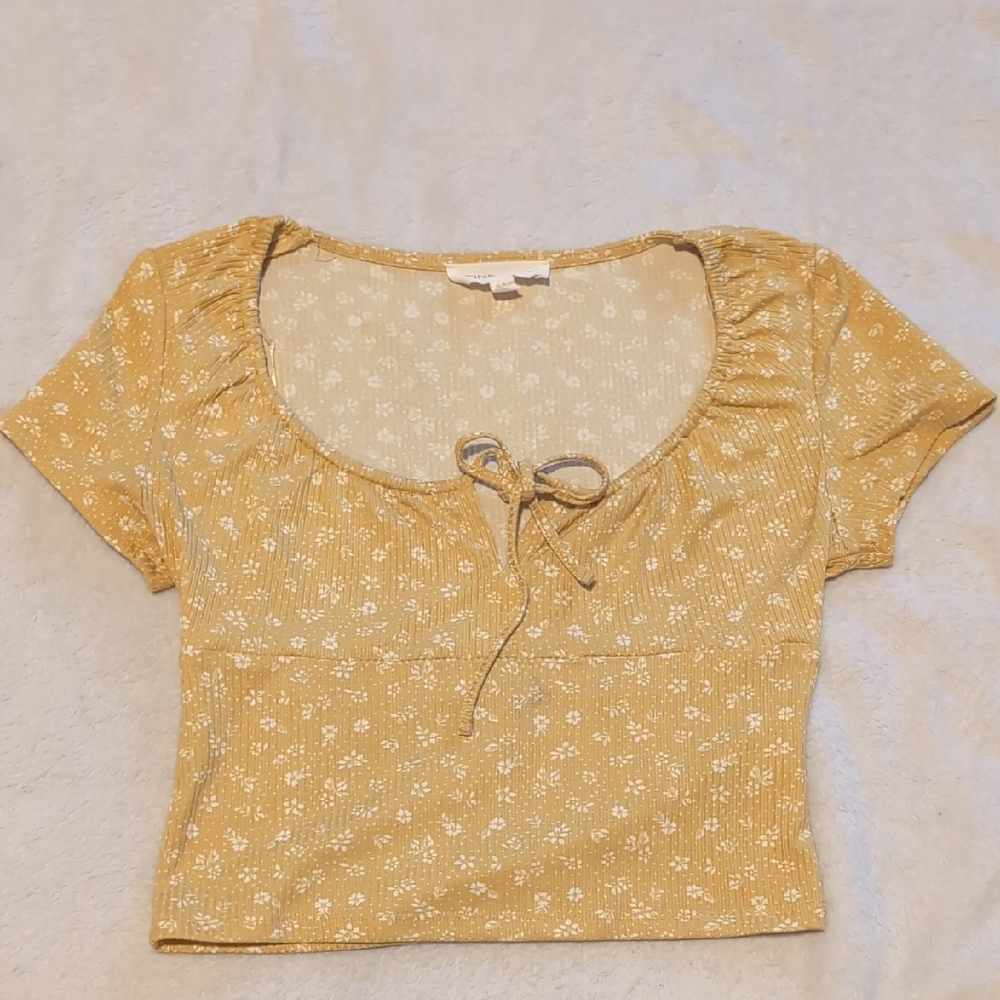 Pink Rose Mustard Floral Crop Top